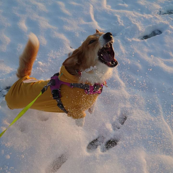 7a07e9e1 2e45 4905 8577 363873e5f5e7 1763595923602