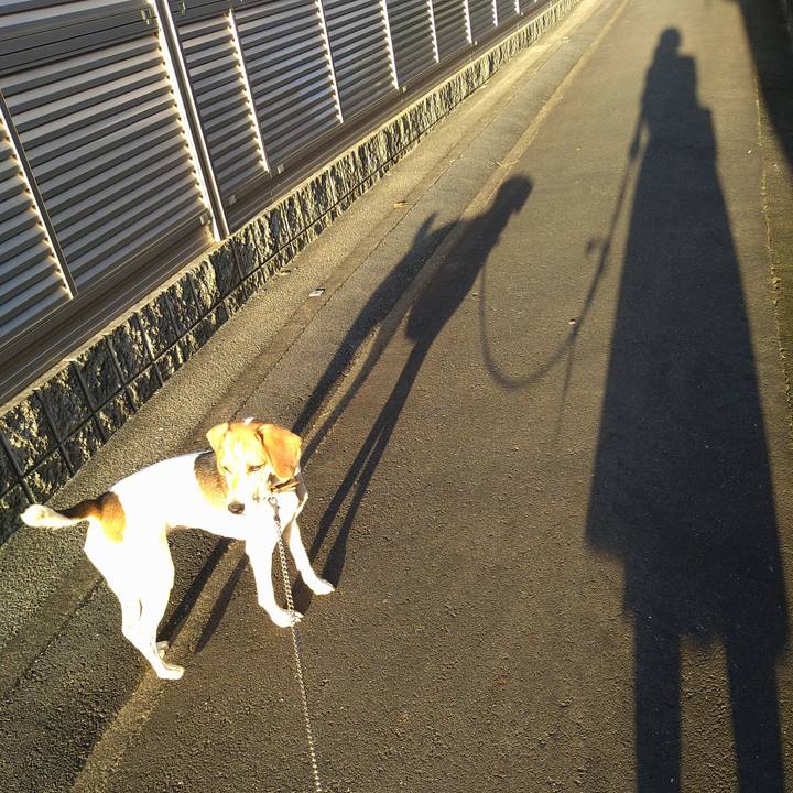 7a07f2e8 9b9c 456f b474 c3b640ad3b96 1633084993801