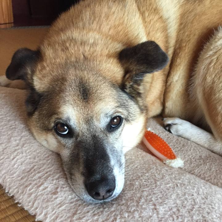 7a080dda 458e 4883 8a34 4e00992a5d76 1527685772930