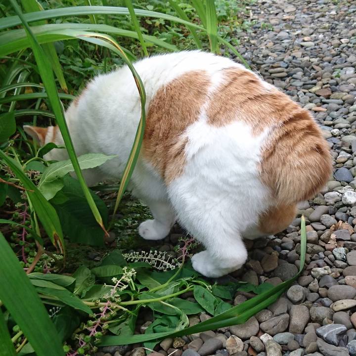 7a081310 3b6b 45e9 b667 6079bb3589e8 1658557794743