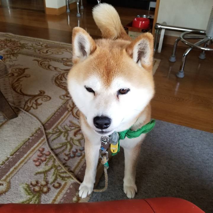 7a0877bf e964 4f9e a84a eec2b7fe5a69 1557555551370