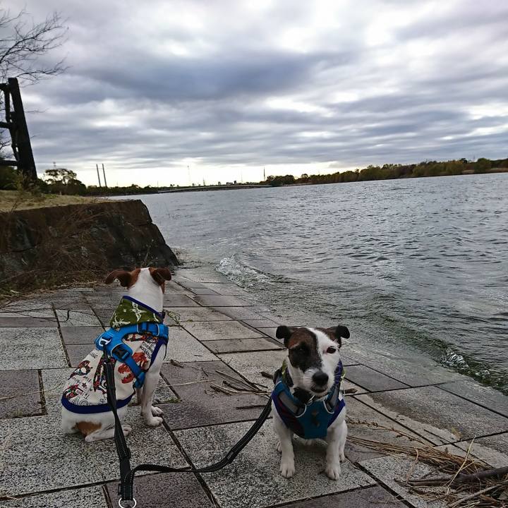 7a087984 9a60 4ee8 9ffc 345a5a926732 1543982749602