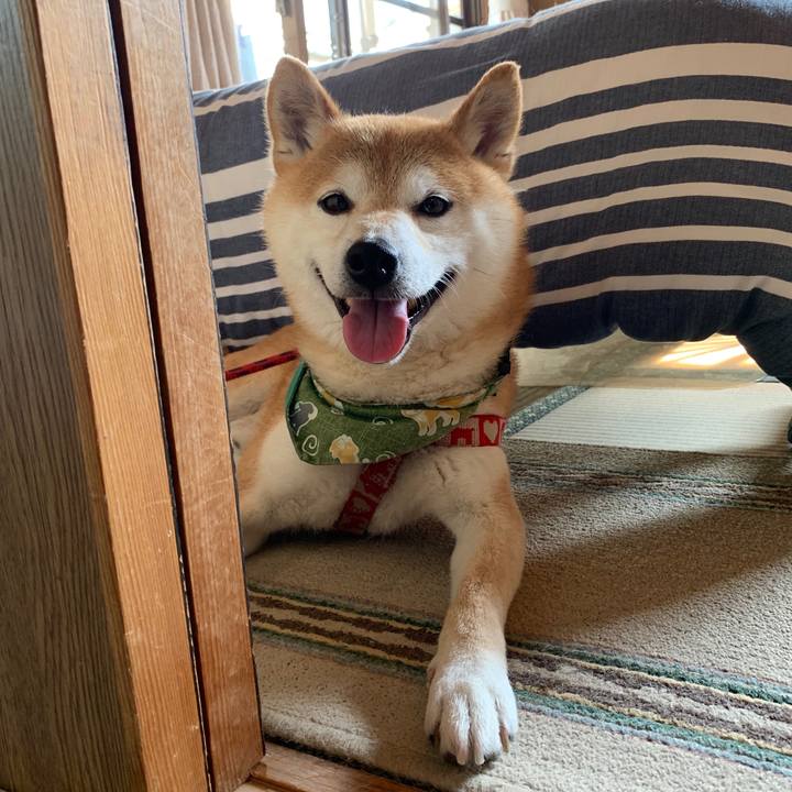 7a088d6d dace 477c 8e65 6587b0d17da5 1593600398954