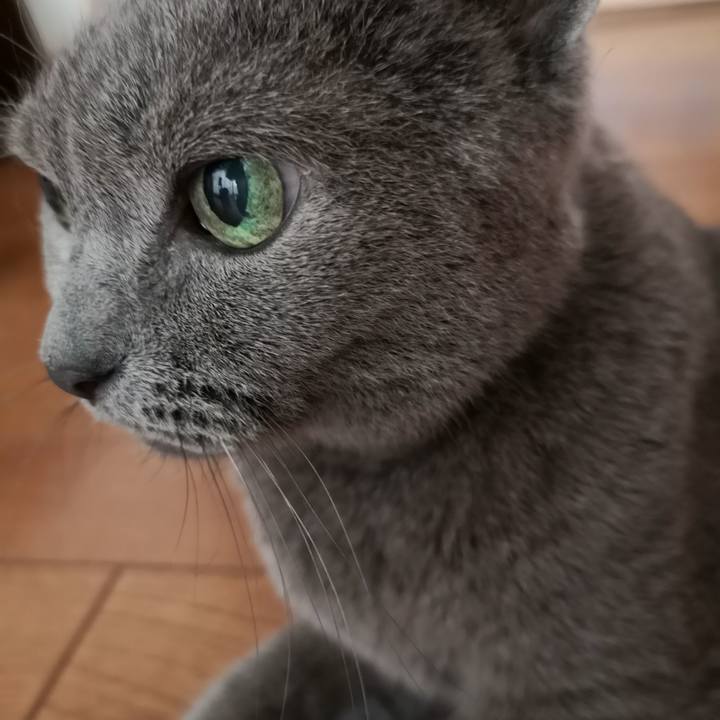 7a089039 7501 4fb6 930a 2bdc3640d97c 1599945470665