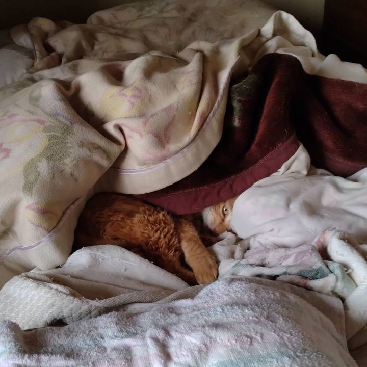 7a08c1b1 e73b 4124 abd6 bff2912341bd 1743810416851