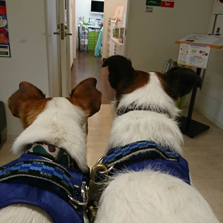 7a08c98f 9701 4a31 b509 084f81bc8fce 1526354537444