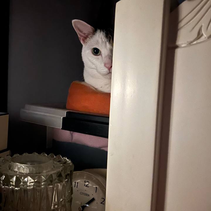 7a08e34b 9ffa 4a93 8caa da8904dff1e3 1696903777604