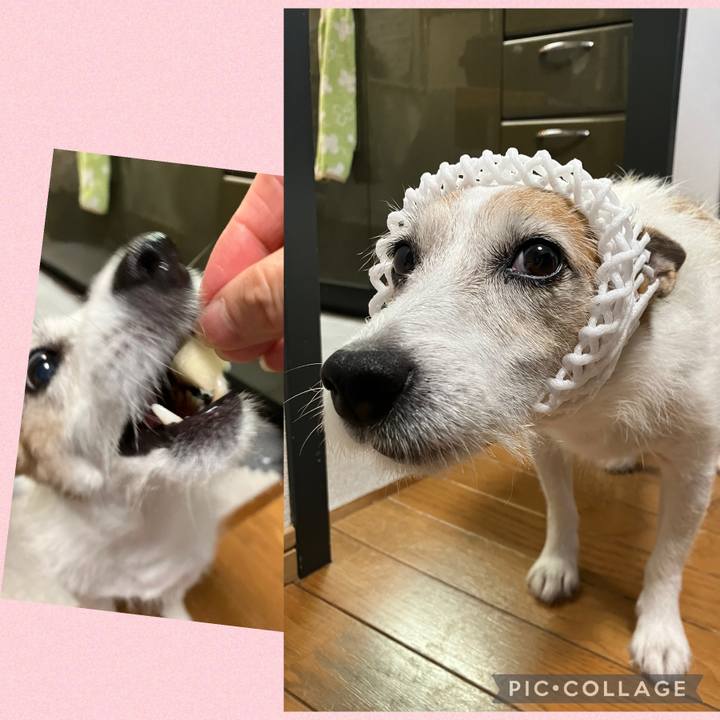 7a08f2d7 af62 4b65 ba70 7db0e2f46c33 1726701811680