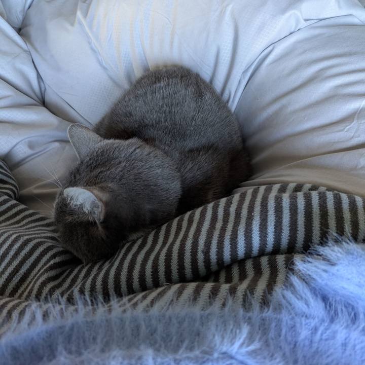 7a095d17 58a8 44d1 8138 667b3ed85b4d 1770594469364