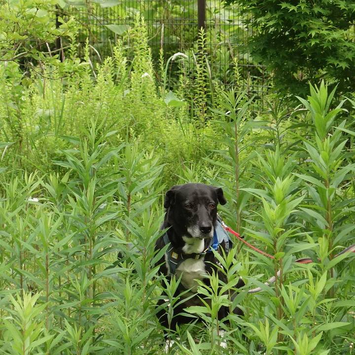 7a097c24 7455 493d 8111 a3a3fcbaea56 1716425161676