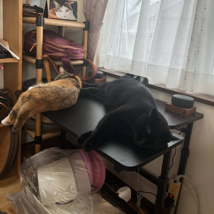 7a0980c6 9c7c 4e9c a24f b8ce6a0dde8f 1722996491313