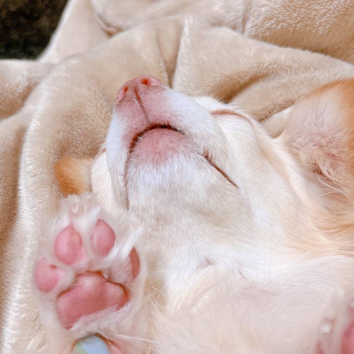 7a09a310 3ca2 4ace a8bf 265af06574e2 1652010625432