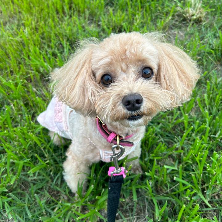 7a09b6ec d9e4 4548 a893 d4400ba21ca4 1694271694917