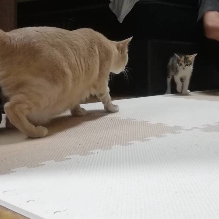 7a09bab5 357b 4686 83d5 64770f9fd0e0 1628422616624