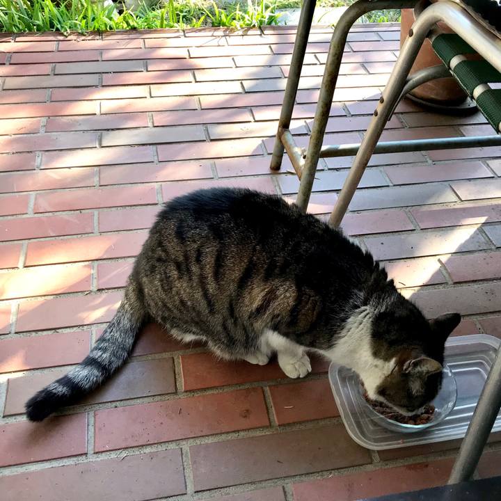 7a09dff3 4b5b 4469 9ac4 33c9b55283b8 1517115516578