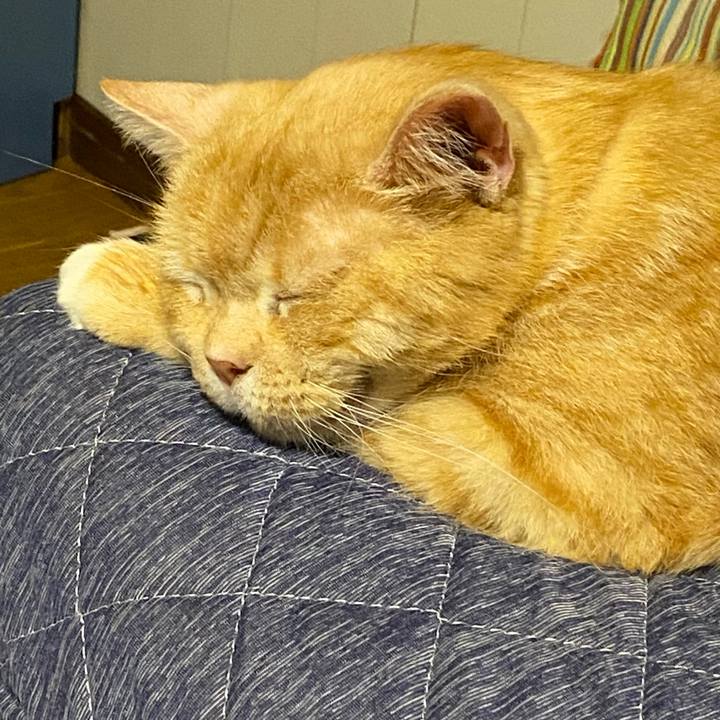 7a0a05d9 efb4 438c a01e 557b7010160e 1620476384484