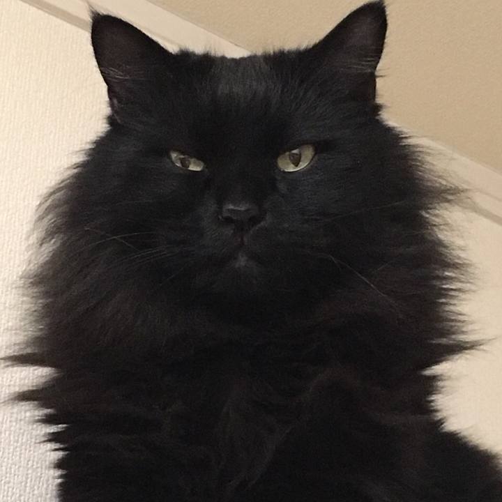 7a0a0e24 9c5b 48bb 98f9 6f603e86880d 1546427303218