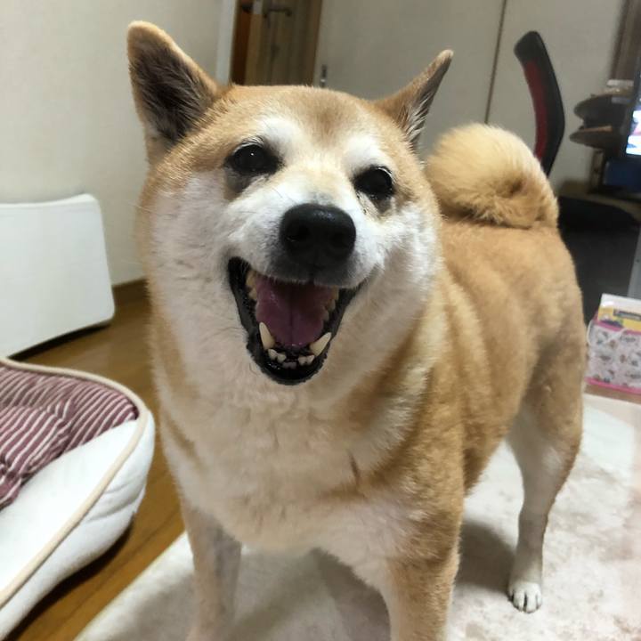 7a0a1870 1e56 4372 afb5 85989ef5b8e9 1585831647012