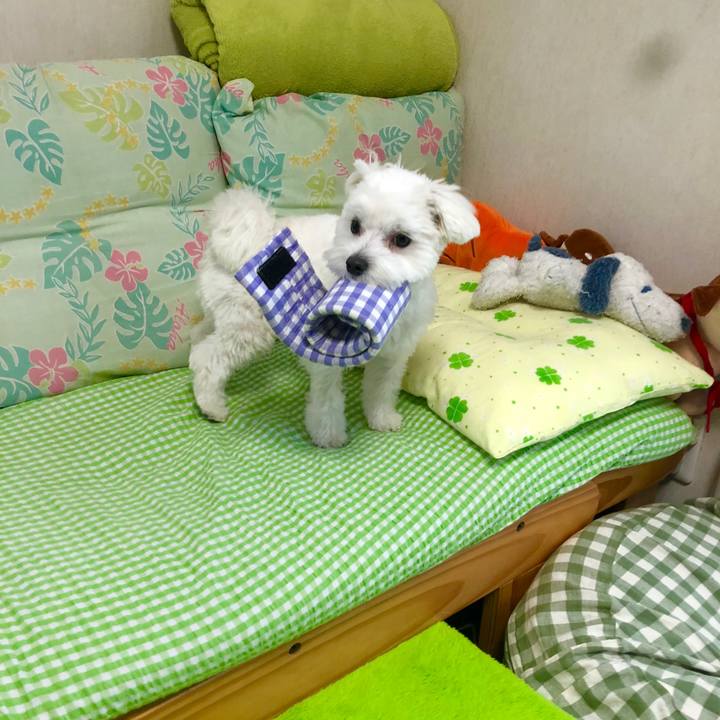 7a0aac05 5f42 4946 a3b3 9da1d9e41f94 1523684388715