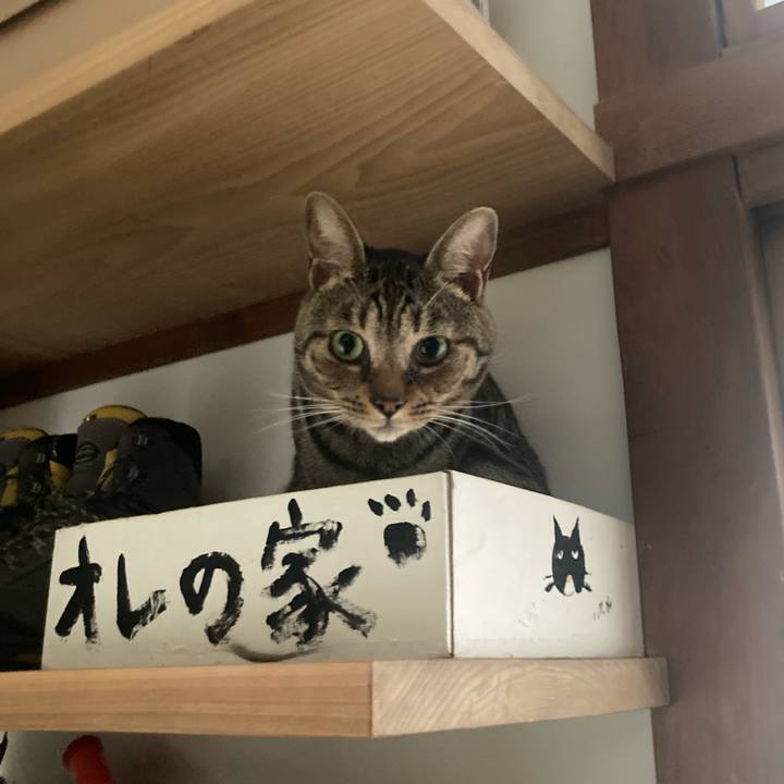 7a0ae08f 719c 4a92 a7ae 5509e98a0a72 1718494090037