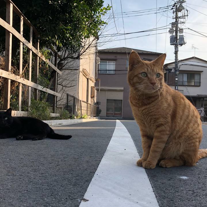 7a0af84e 7109 404f a4b6 e827d9afe4b6 1521103650946