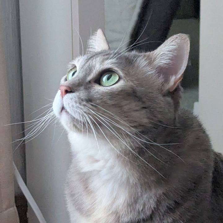 7a0b143d 7afb 4fa0 a5cf ac82b62811f3 1741517402264