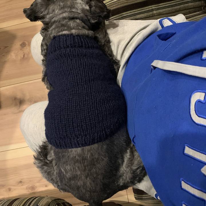 7a0b6a23 4c98 4823 864c d89c552a4c87 1640854211466