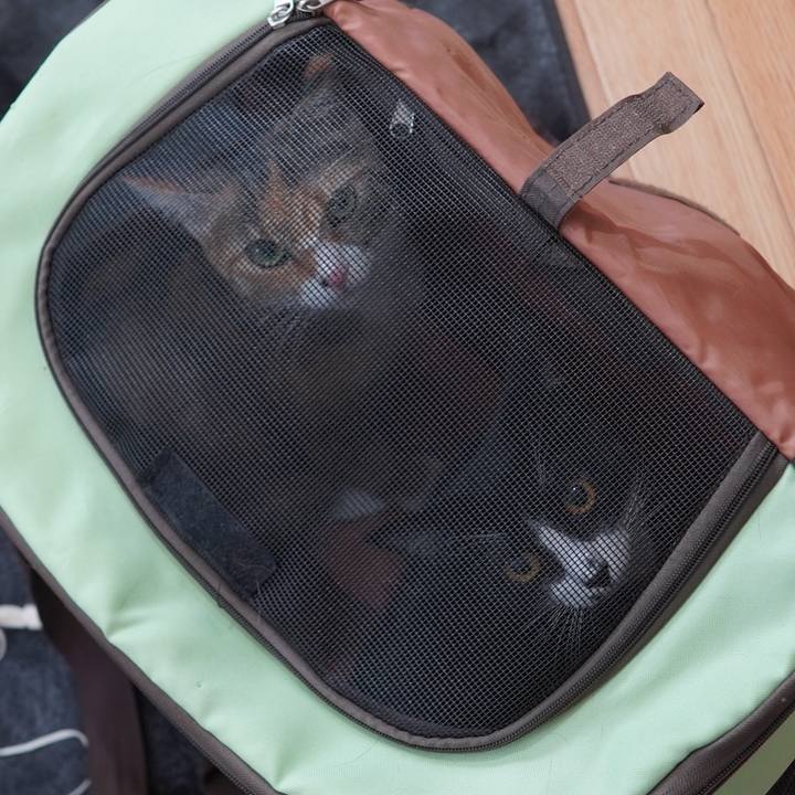 7a0b7f5f 36e7 45e6 90ce 85b622fe1c77 1604109423347