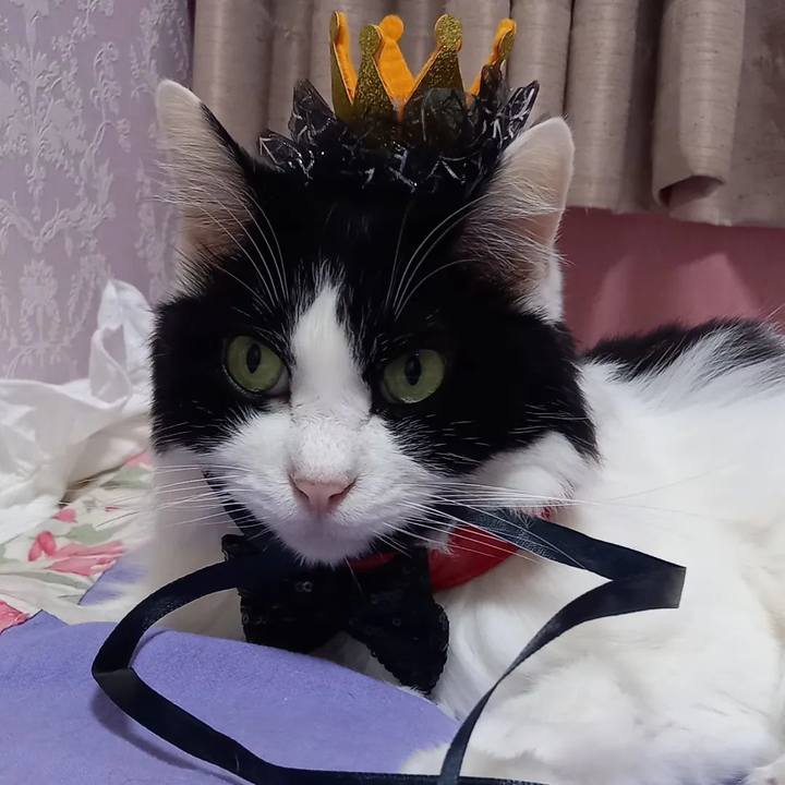 7a0b8021 6d1f 407f 9f05 f8afab49dce3 1663921829874