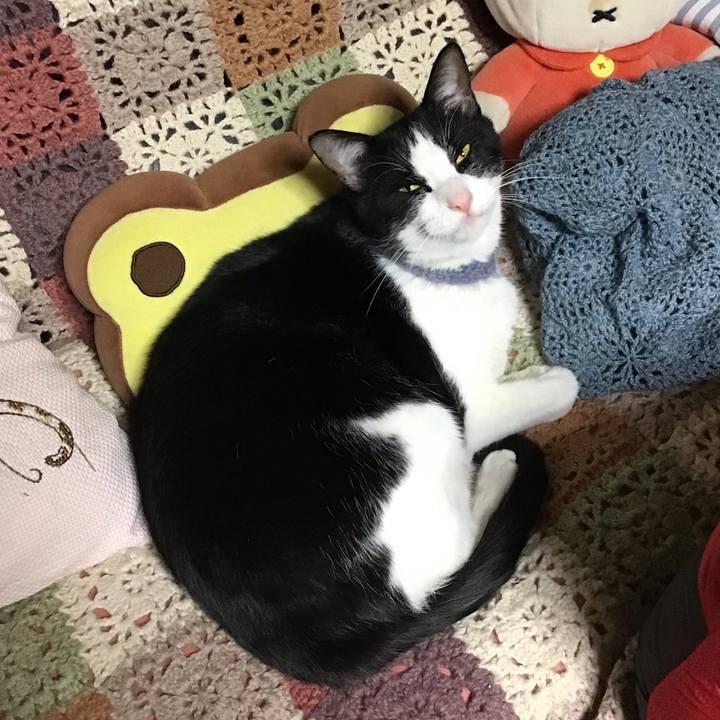 7a0c5a47 a43e 46d3 a2cd ec432da760cd 1671194717729