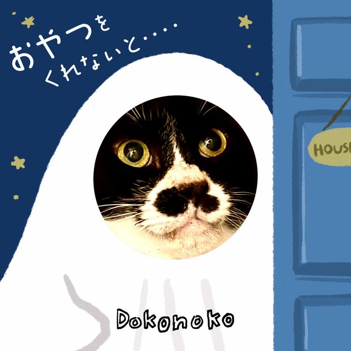 7a0c6d05 4484 47a4 9118 819aaf77cee0 1729293764410