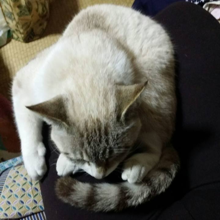 7a0c797e 7cf3 4834 9820 062b7ac8c5c5 1515933899685