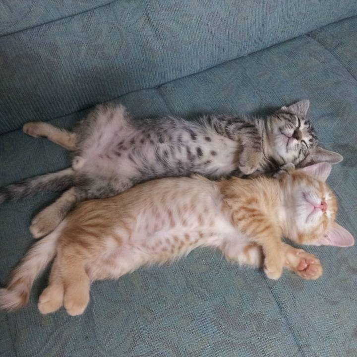 7a0c8e9d 30b2 441c 9be1 cacbcc59cad4 1651400384507