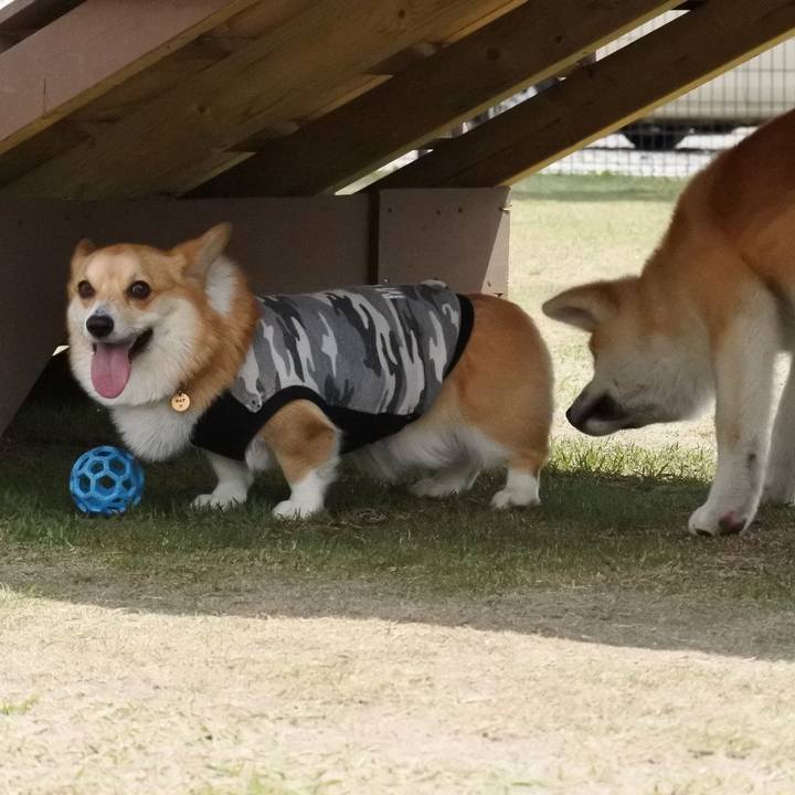 7a0cca1a 2a0e 44aa 8e0e 22bc4c787988 1528454299236