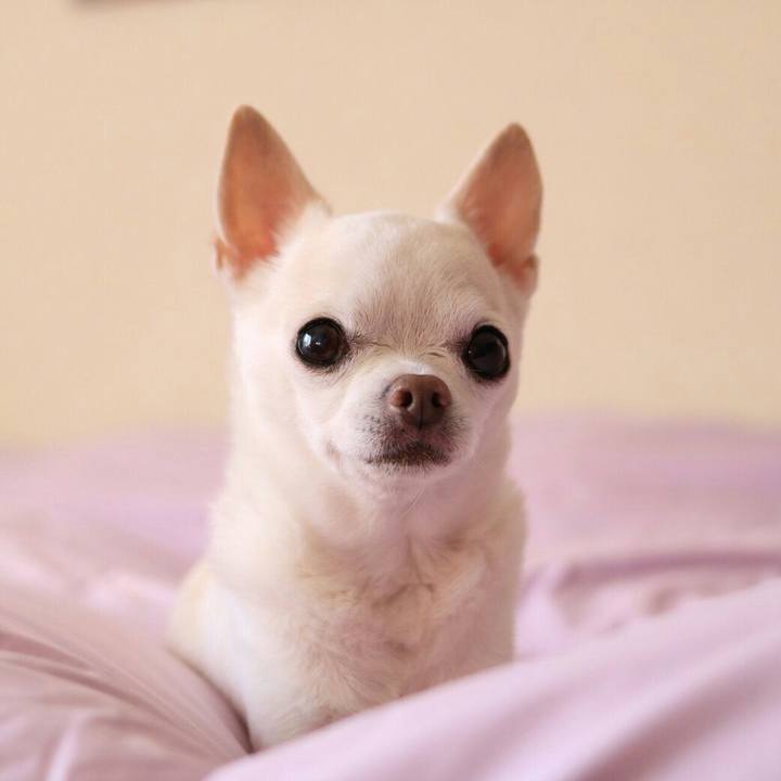 7a0cf48d 6ffd 42c2 98f0 8548e538483f 1509696578852