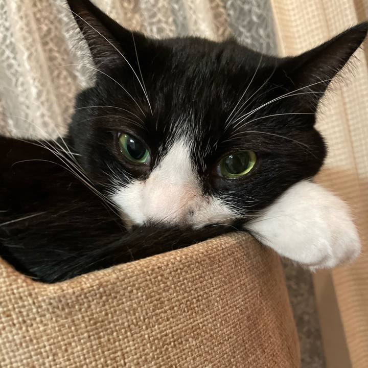 7a0d0371 28d2 4bd1 8286 13e9e8bd74c7 1703428182955