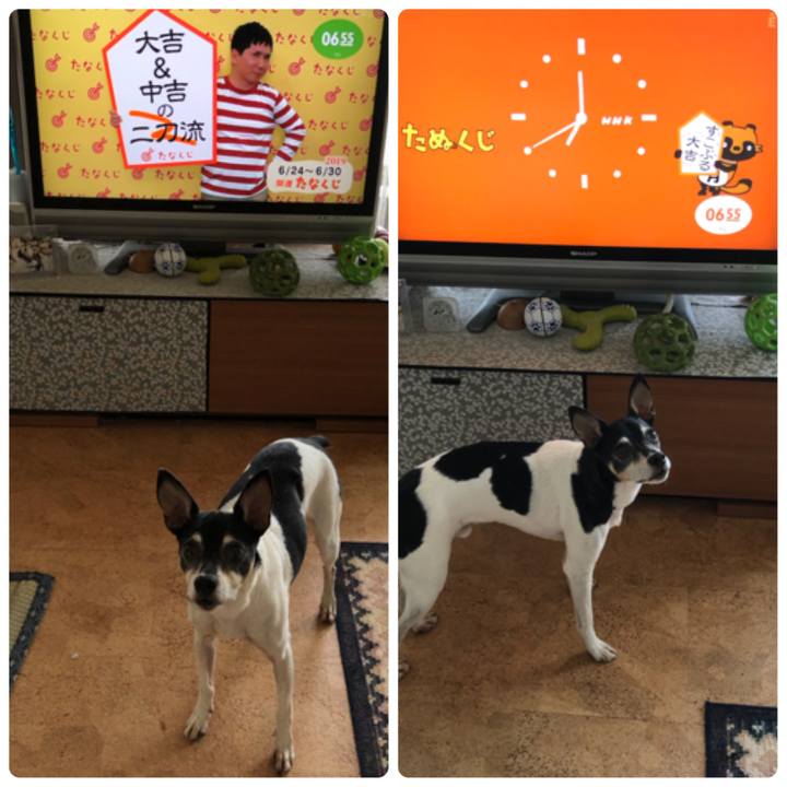 7a0d0ce8 5eb2 4fc5 a8a1 7767af235765 1561330531340