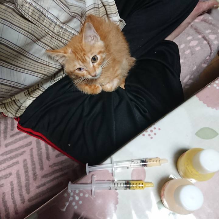 7a0d0e7c 61fb 4126 8957 60e9b574a4fd 1628847961894