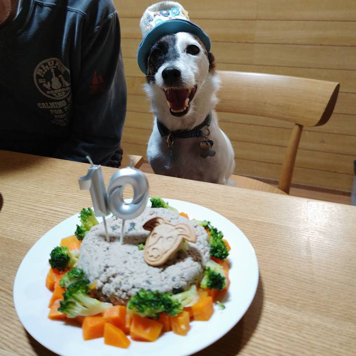 7a0d19aa 3774 4997 9075 951abf2a242e 1731936339650