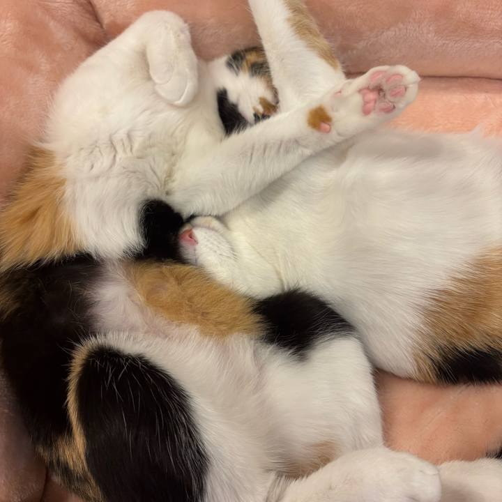 7a0d4c93 8820 4d24 b68b 82712e244cec 1772622359013