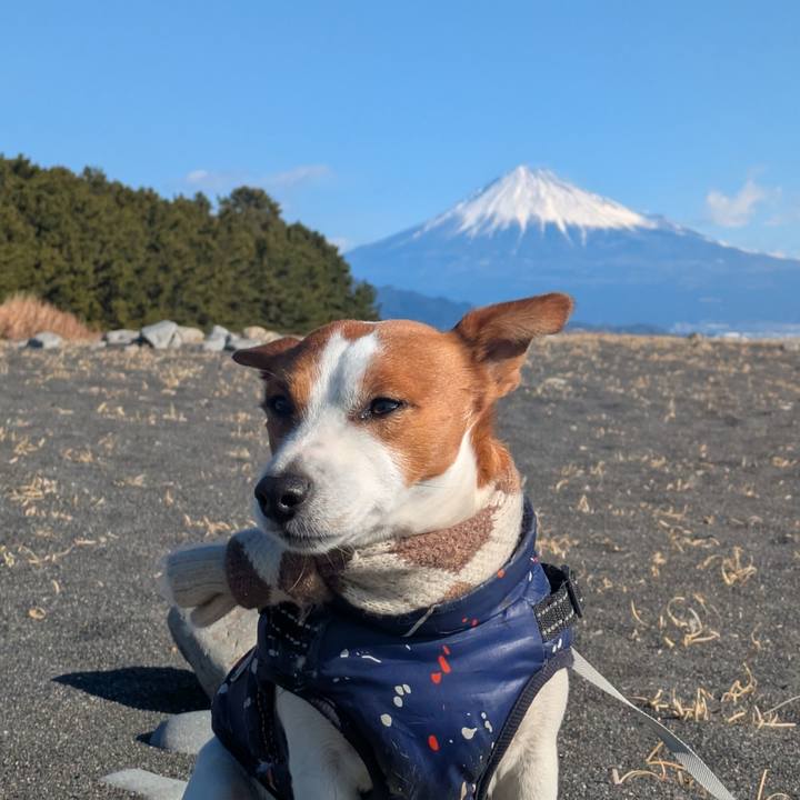 7a0d8e89 82f9 4e57 b05a c7eafcd766bc 1738812942565