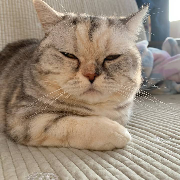 7a0d91fd 6b03 4327 bc04 d4917011d273 1708380819360