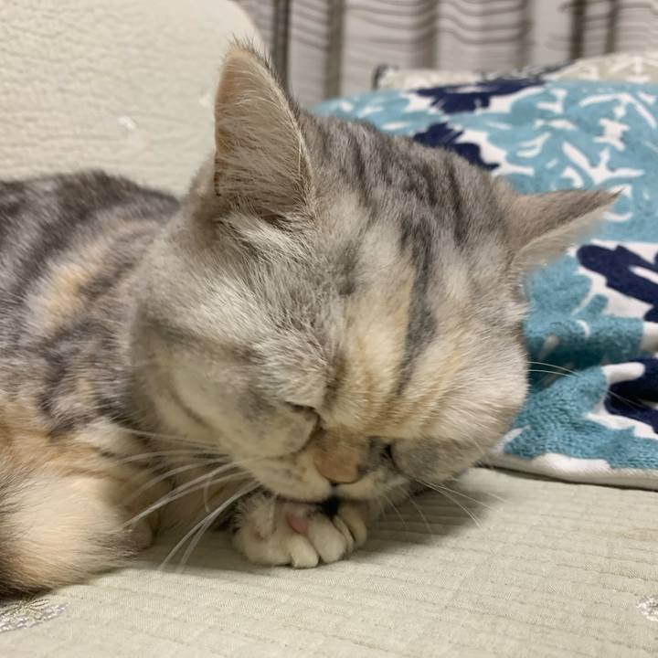 7a0da1f1 4c2e 4b49 8a84 ddea5ba8d342 1711616895642