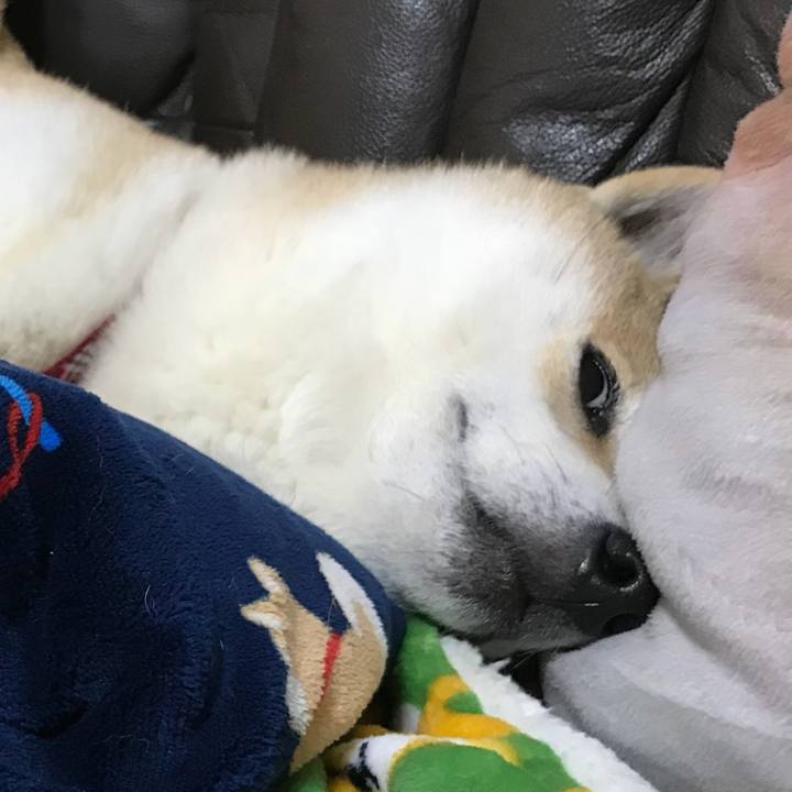 7a0da829 773c 482b aee7 662e82b6cfe4 1520981675670