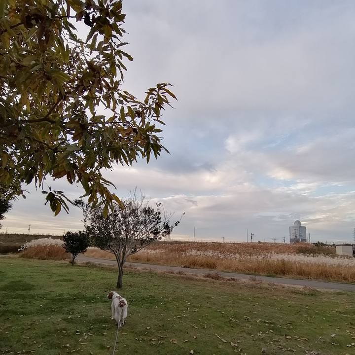 7a0dca48 bbd7 4689 9a1c 42aa551cdc3a 1575709316698