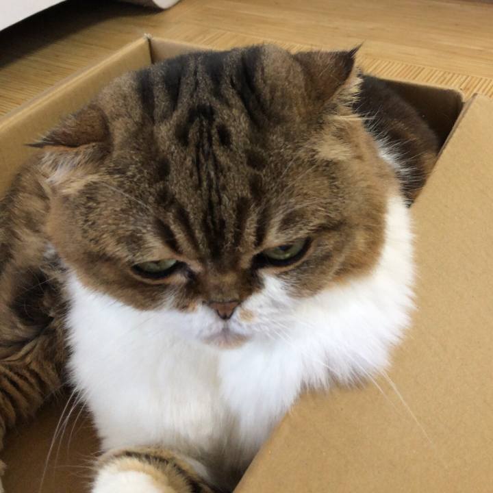 7a0dd819 e635 4d1e b706 bbb1bba2e4c4 1536459154904