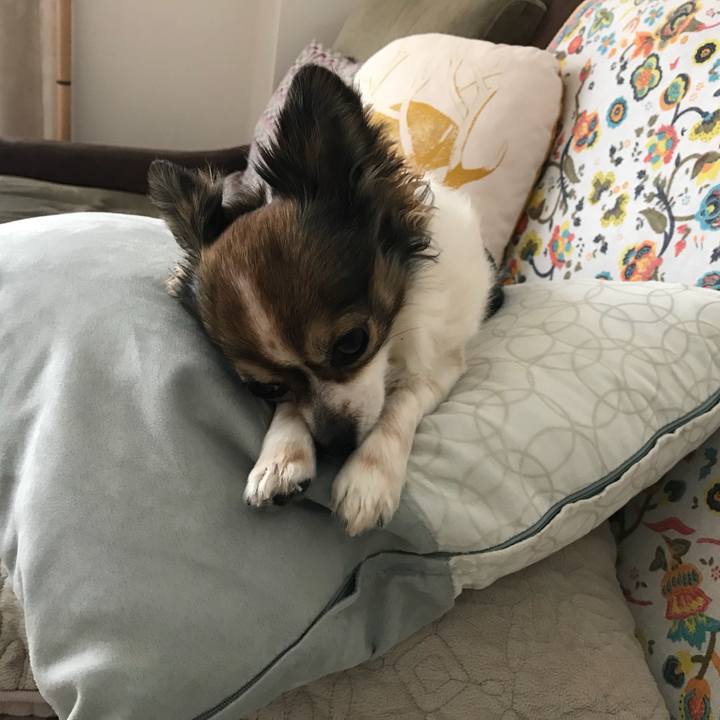 7a0e0bf1 fd9c 4970 8483 5b0556558162 1524229094368