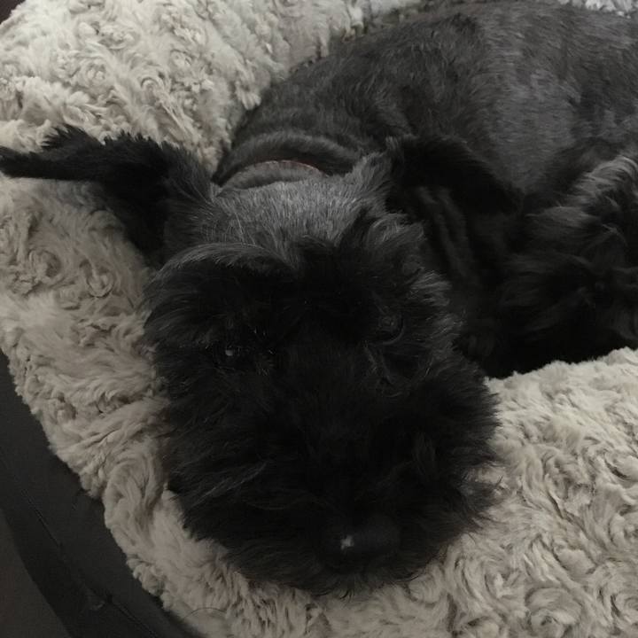 7a0e4013 f751 4298 87e7 75f12de3d64d 1563842727249