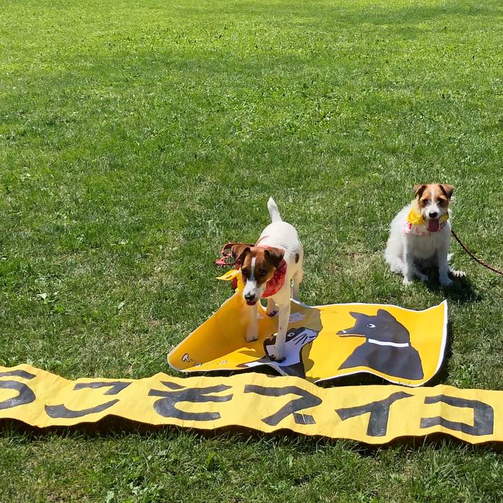 7a0e4d20 681b 457d 91dd 6f00456efdca 1535610778778