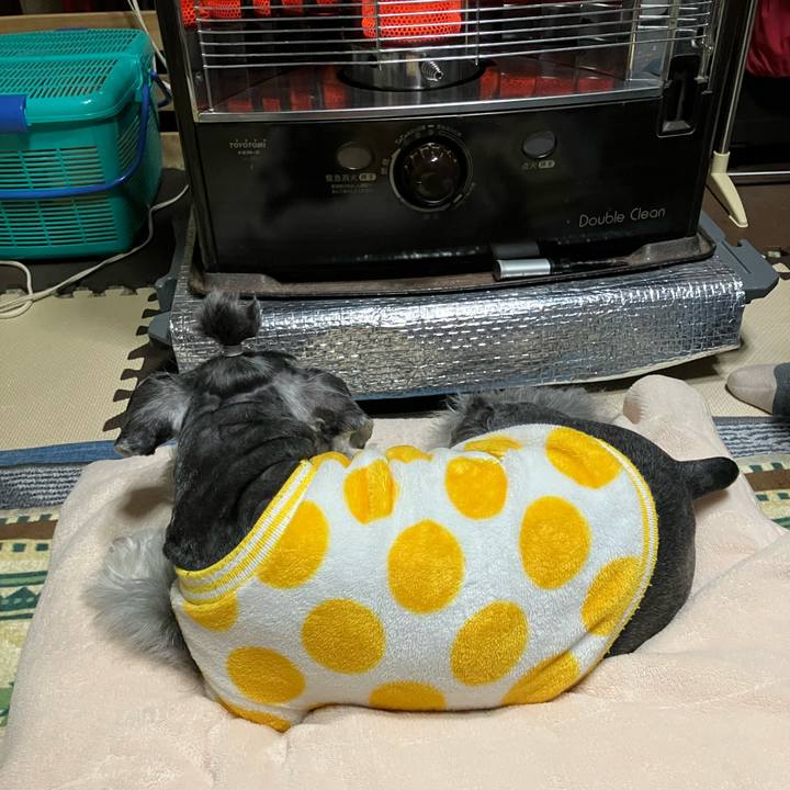 7a0ea6c3 b2af 40de ac9c ab761f1fc40e 1734174461958